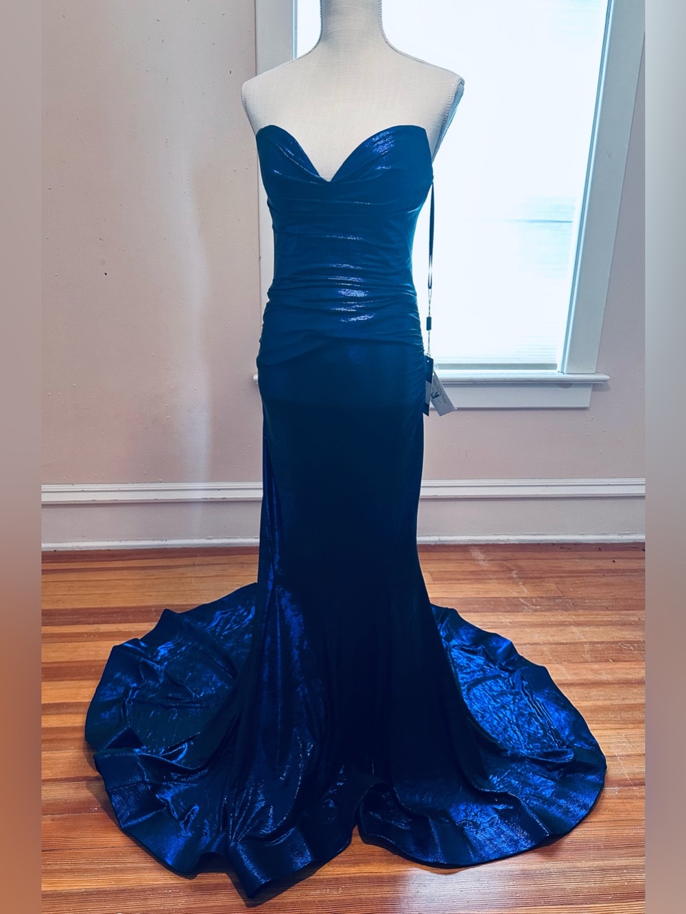NWT Strapless Iridescent Evening Gown